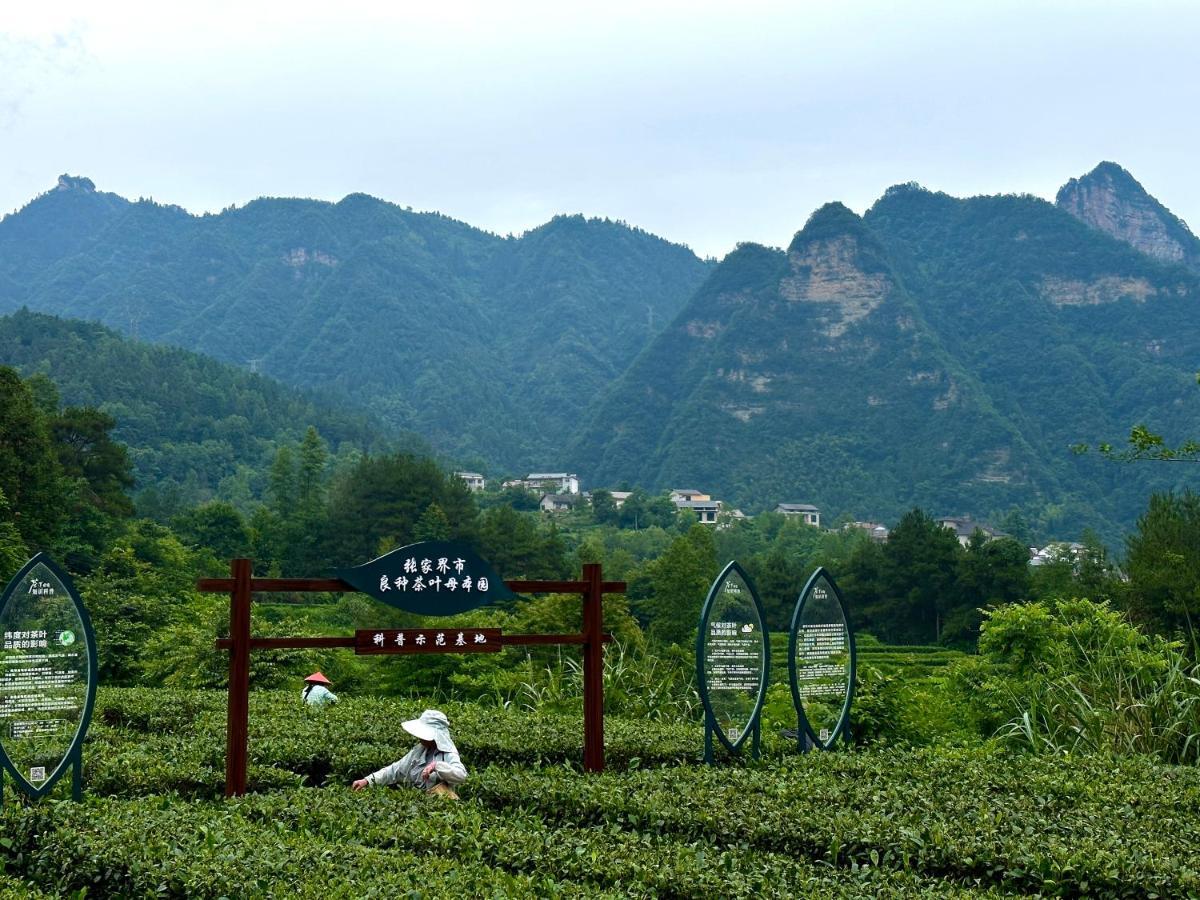 Zhangjiajie National Park Nvue Resorts Exteriör bild
